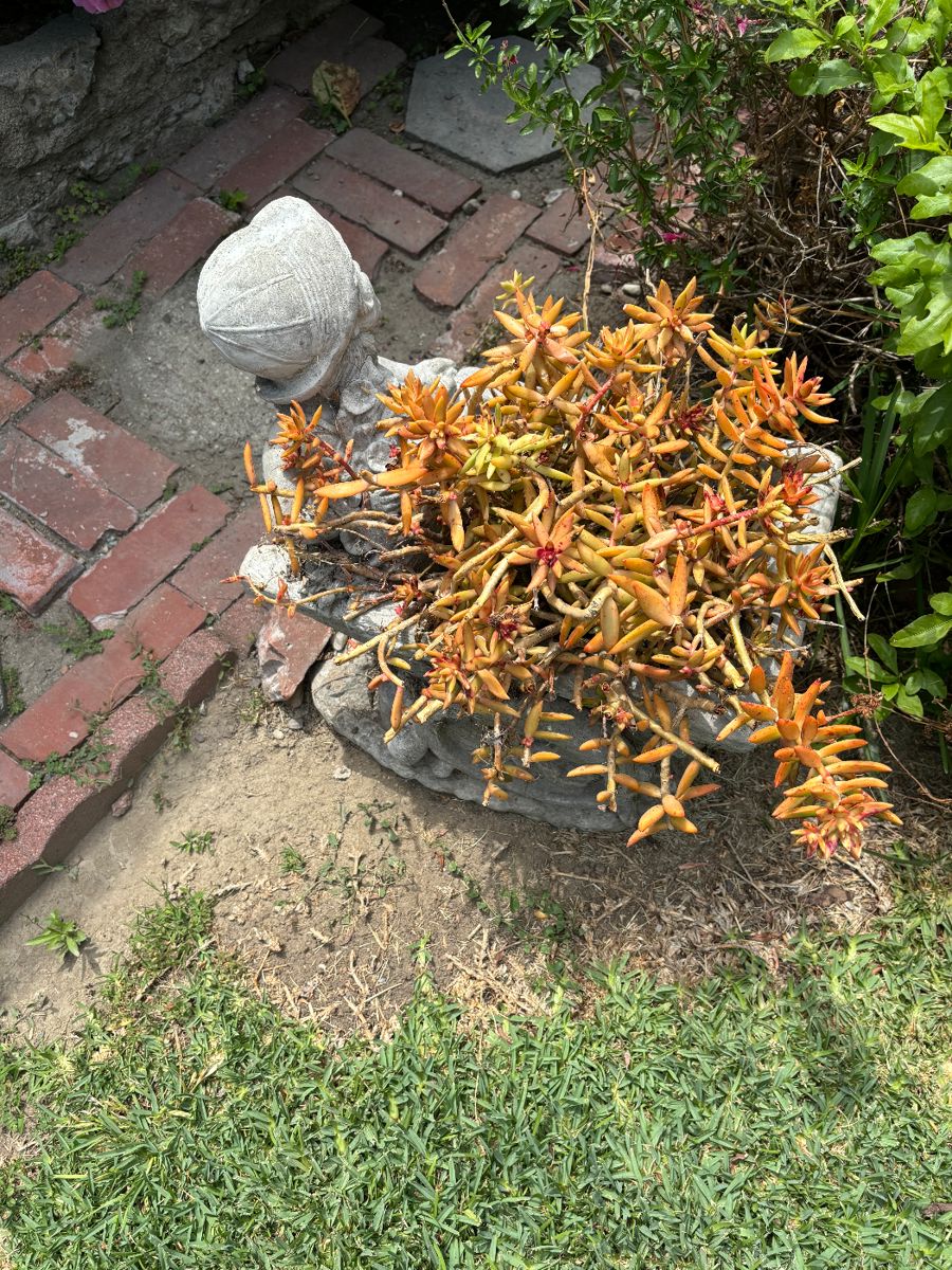 Stellar 50 off Pico Rivera Estate Sale starts on 6/20/2024