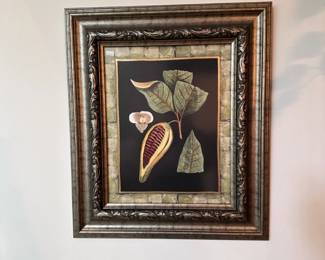 Framed Art