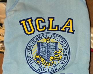 Vintage UCLA Bruins Sweatshirt 