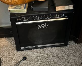 Peavey speaker