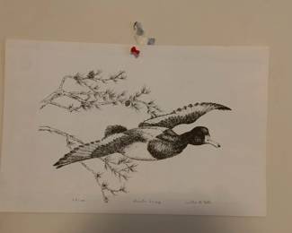 #81	Sally B Cobb - Print Greater Scup 69.100	 $20.00 
