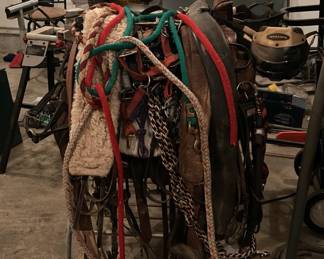 Horse Tack