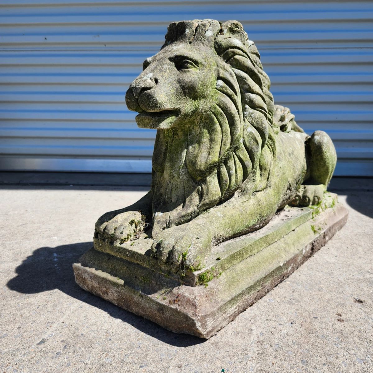 Fantastic cement lion