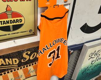 vintage signs; Halloween dog outfit