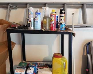 Garage Items
Ladder