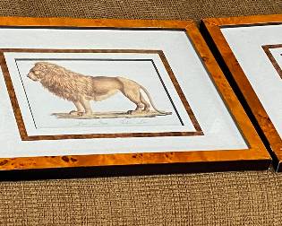 Exotic Animal Prints