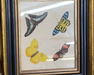 Butterfly Print