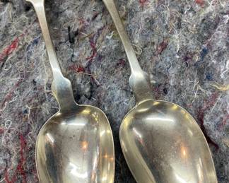 Isaac Fish Coin Silver