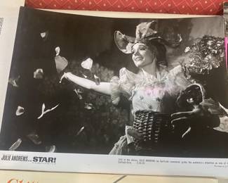 Julie Andrews Movie Stills