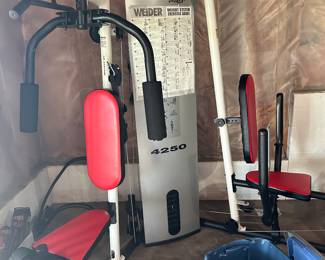 Weider Pro Weight System