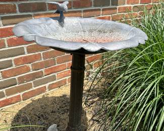 Bird Bath