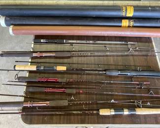 Fishing Poles In Cases