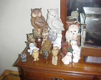 A fantastic owl collection.