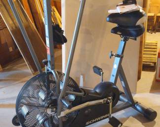 Schwinn Airdyne Exercise Bike 