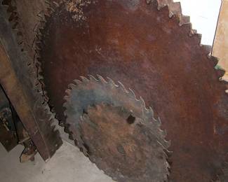Old large Saw Blades
