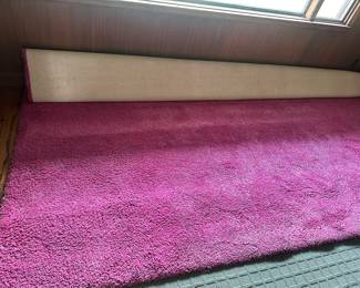  Very cool hot pink shag rug