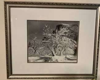 Ansil Adams art & books