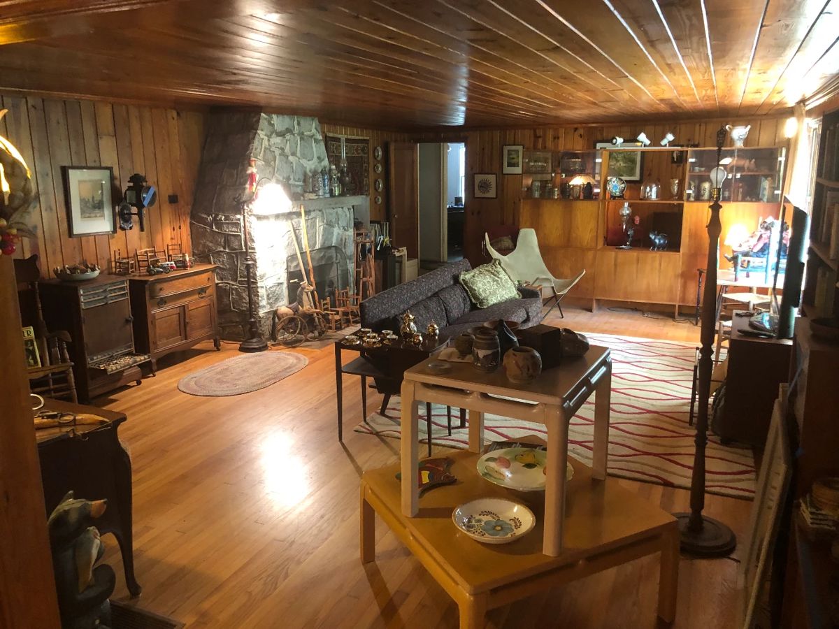 50 OFF! BEE'S KNEES ARE IN STONE MOUNTAIN! starts on 6/28/2024