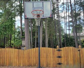 basketball hoop 