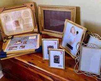 309 Gold Picture Frames