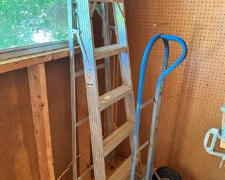 906 Ladder  Dolly