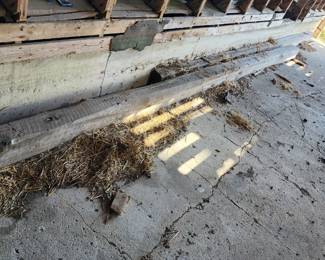 25 and 20 foot long barn beams