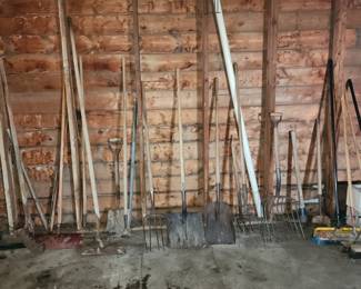 Huge selection of pitchforks and other yard tools