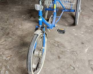 Adult tricycle with basket
