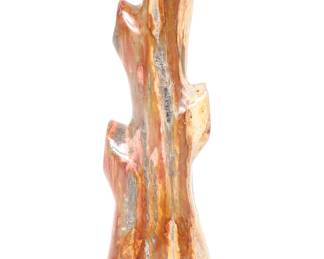 Lovely Polished Petrified Wood Jewelry Stand