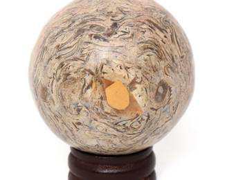 Beautifully Polished Section of Dinosaur Bone