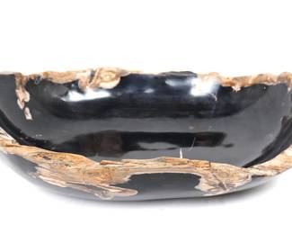 Large Petrified Wood Dish, Millions of Years Old