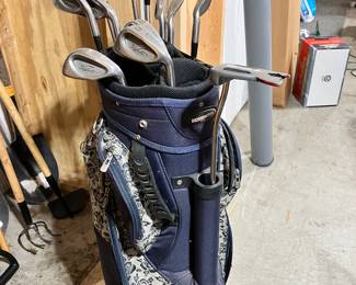 Golf clubs and bag