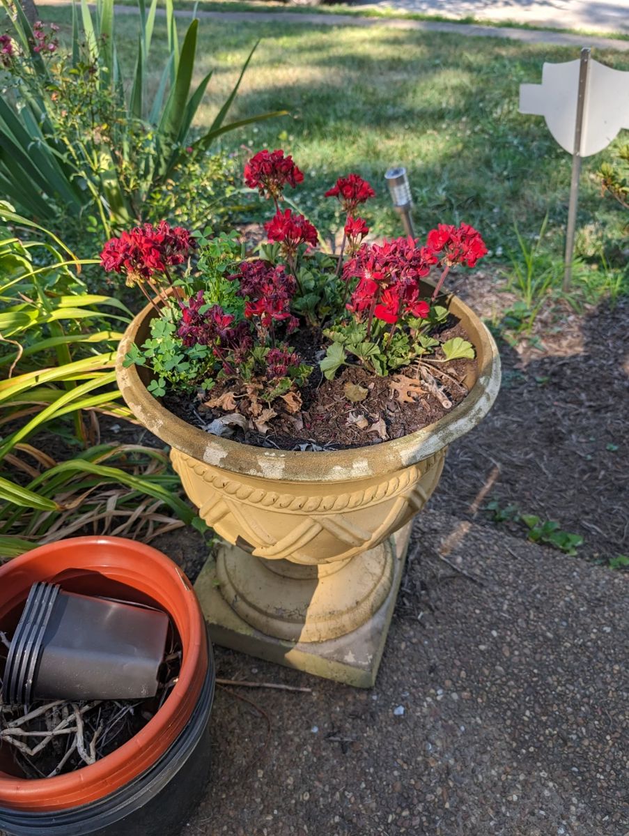 50 OFF SUNDAY NICE COLUMBIA ESTATE SALE Starts On 6 29 2024 to-persuade-someone-to-do-something-english-words-english