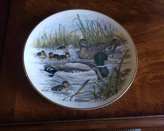 12 plates all different birds