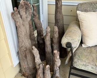 Cypress knees