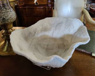 Natural coral bowl half price