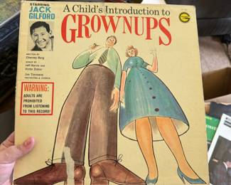 Assortment of Vinyl Records