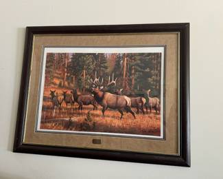 Elk Art Print by Gary Moss Hesitant Harem