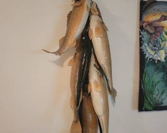 String of walleye