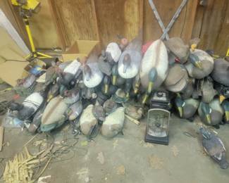 Duck decoys