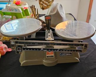 Fisher scientific scale