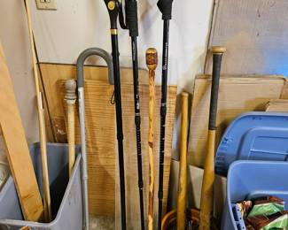 Walking sticks