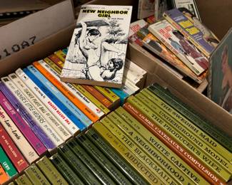 Hundreds of risqué novels