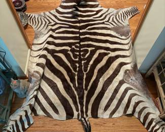 Stunning zebra rug