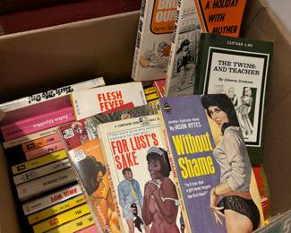 Vintage risque novels