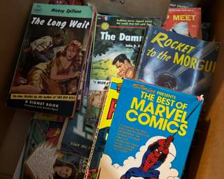 Vintage books, marvel comics, rocket to the morgue, the long wait