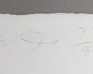 #133 • Jim Dine: "Vegetables II" Signed L. E. Lithograph #77/96, Framed