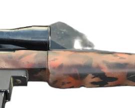 22 LR rifle