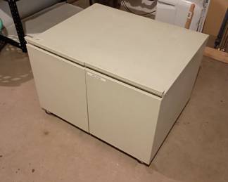 Storage container on wheels 