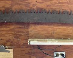 2 man crosscut saw